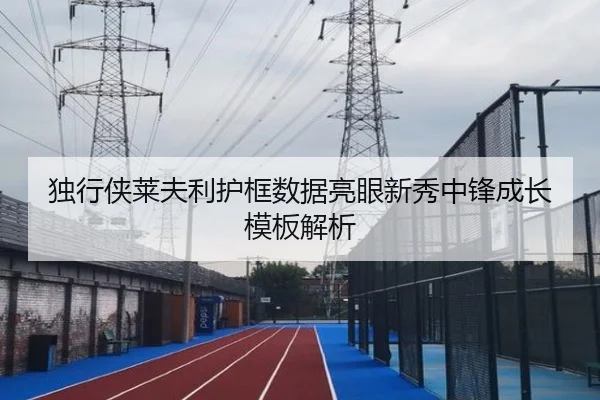 独行侠莱夫利护框数据亮眼新秀中锋成长模板解析
